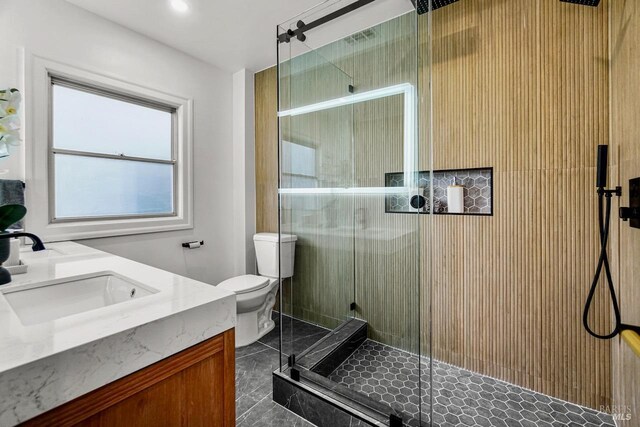 bathroom with vanity, a stall shower, and toilet