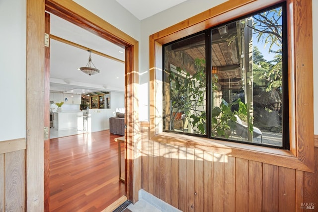 entryway featuring wood finished floors
