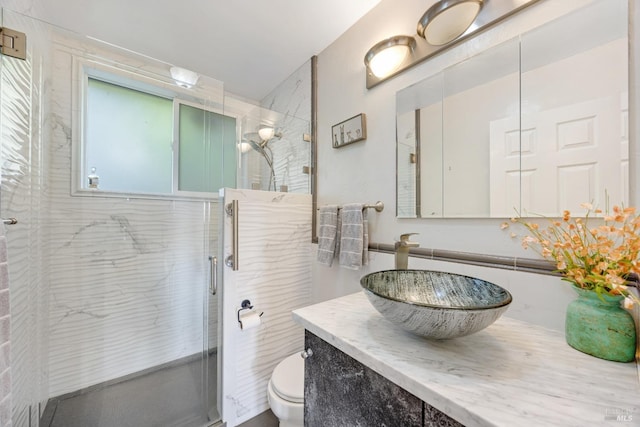 full bathroom featuring toilet, a shower stall, and vanity