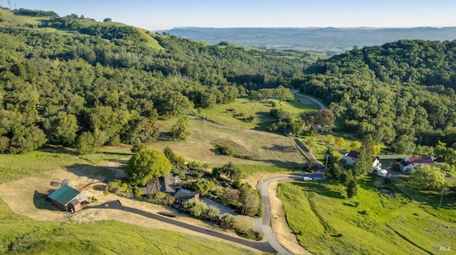 aerial view with a forest view