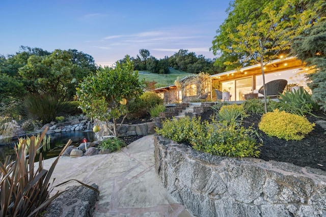 view of yard with a patio