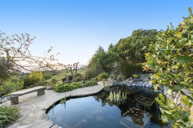 view of pool with a garden pond