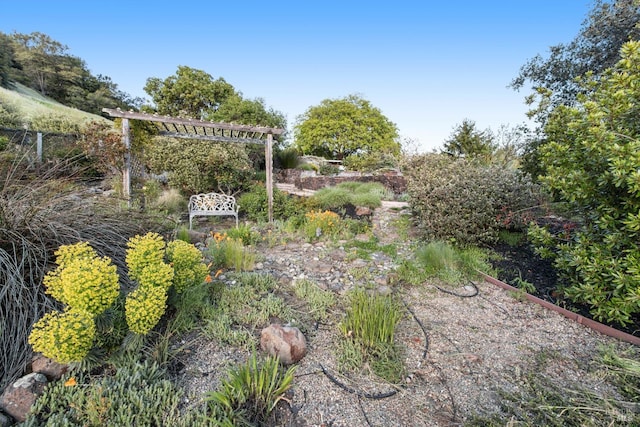 view of yard with a pergola