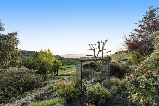 view of yard featuring fence