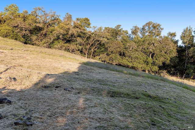 view of nature