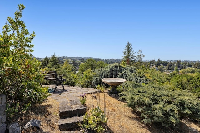 9 Canyon Ct, Petaluma, CA 94952 - surrounding community featuring a forest view