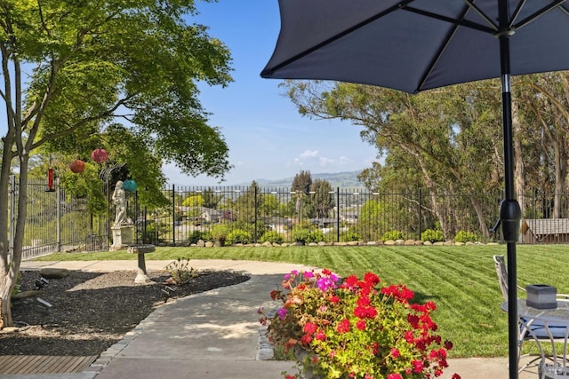 9 Canyon Ct, Petaluma, CA 94952 - view of community featuring fence and a yard