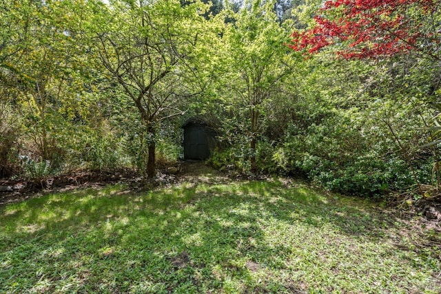 view of yard featuring a forest view