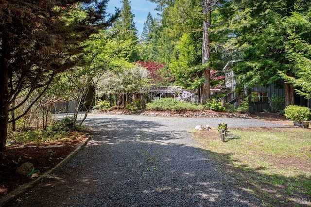 view of street with gravel driveway