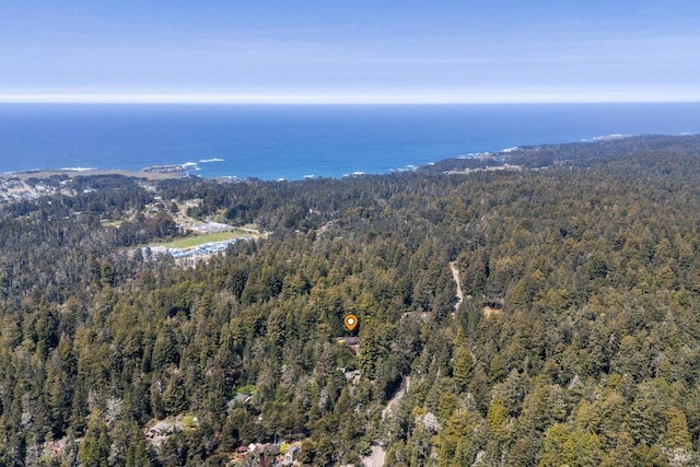 bird's eye view featuring a water view and a wooded view