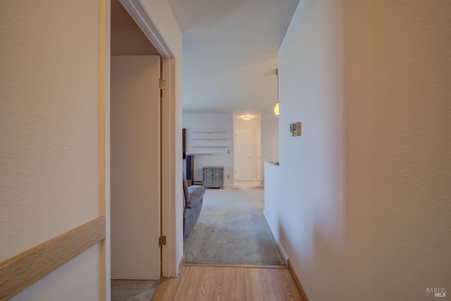 corridor featuring wood finished floors and carpet