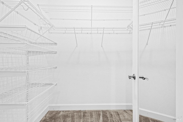 walk in closet featuring carpet