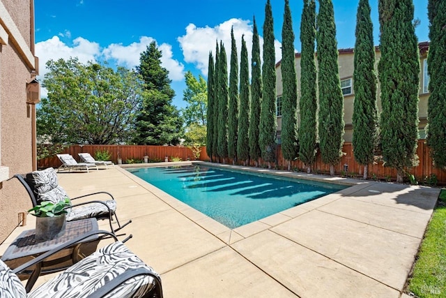 view of pool with a patio, a fenced backyard, and a fenced in pool