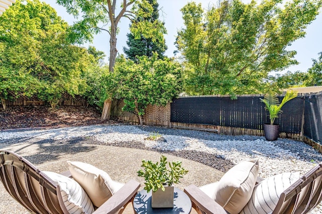 view of yard with a fenced backyard and a patio