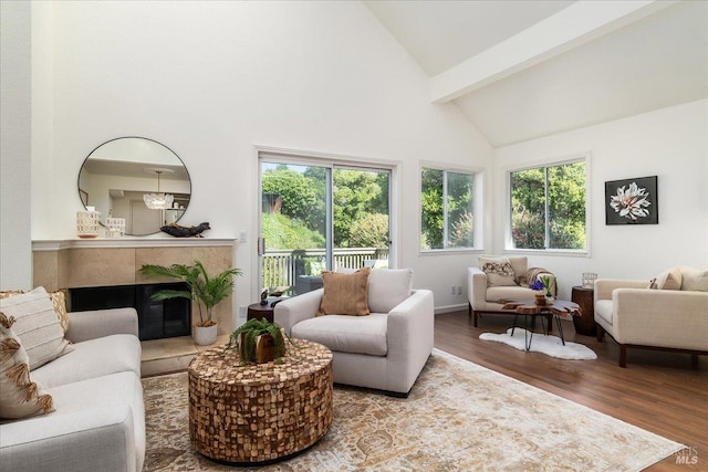 interior space with plenty of natural light, wood finished floors, and high vaulted ceiling