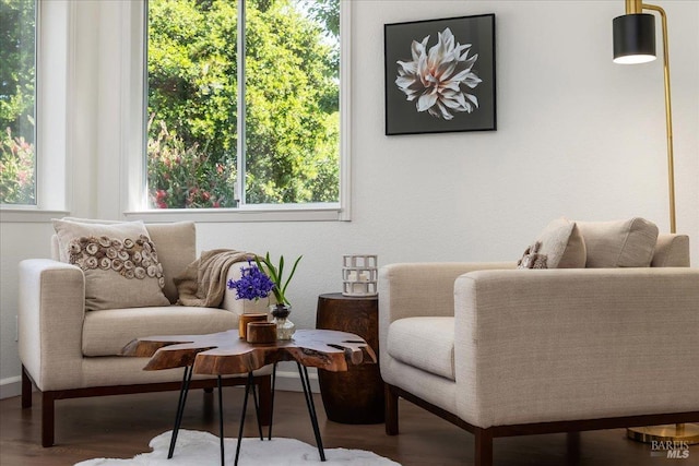 living area with baseboards, plenty of natural light, and wood finished floors