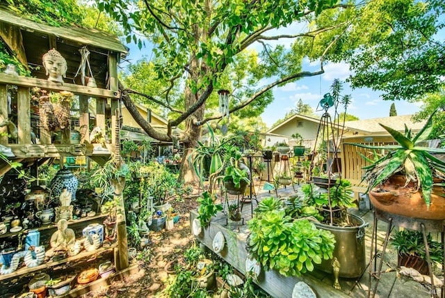151 Randolph St, Napa, CA 94559 - view of yard