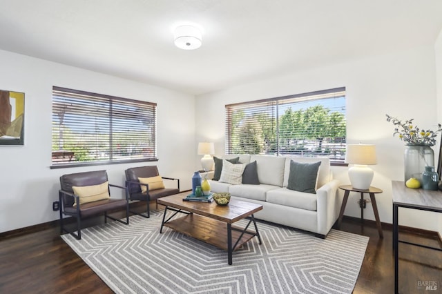 living room featuring baseboards and wood finished floors