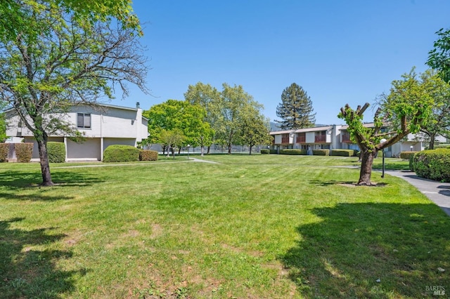 view of yard featuring a residential view