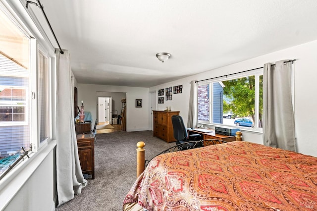 1722 Elm St, Napa, CA 94559 - view of carpeted bedroom