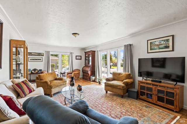 1722 Elm St, Napa, CA 94559 - living area featuring crown molding, wood finished floors, and a textured ceiling