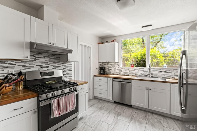 kitchen with tasteful backsplash, a sink, under cabinet range hood, wood counters, and stainless steel appliances