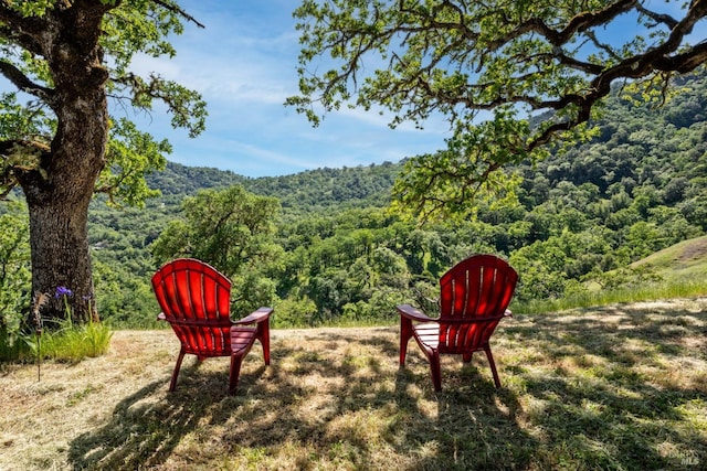view of yard featuring a forest view