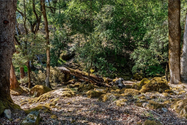 view of nature featuring a wooded view