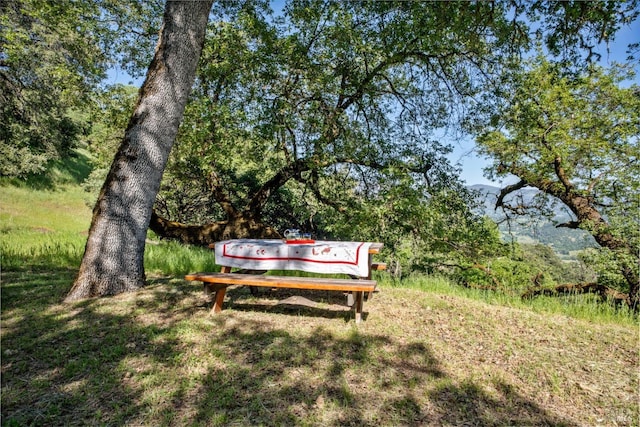 view of home's community