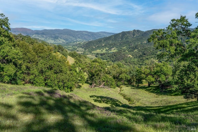 property view of mountains with a forest view