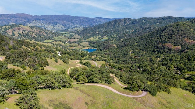 birds eye view of property featuring a mountain view
