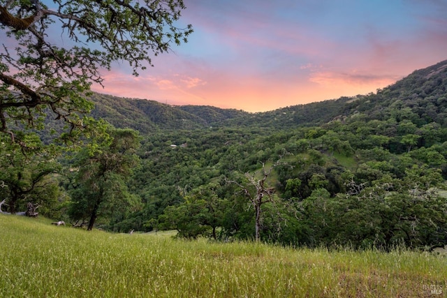 property view of mountains with a wooded view