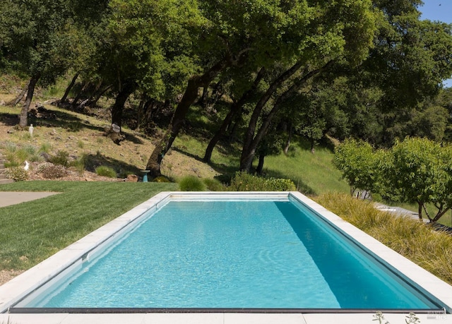 pool with a lawn