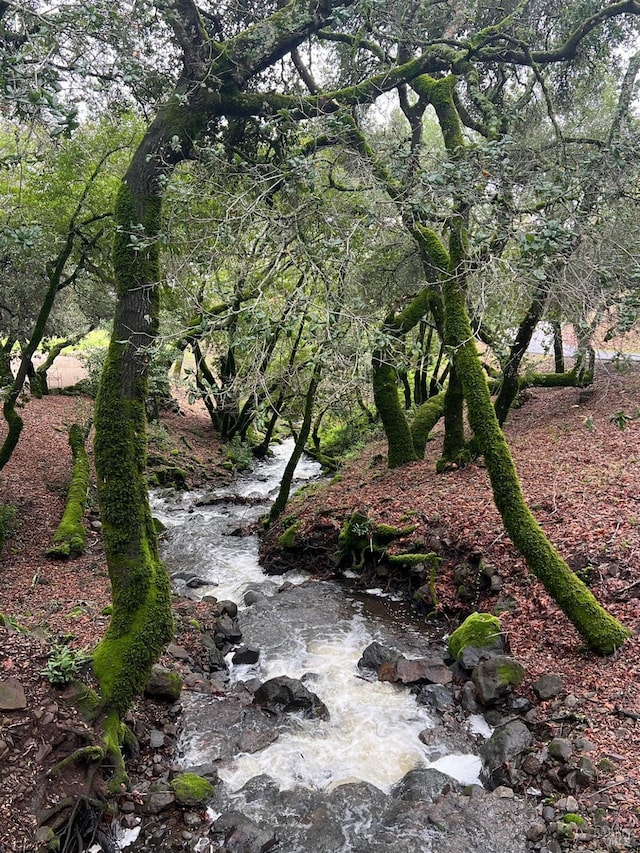 view of nature
