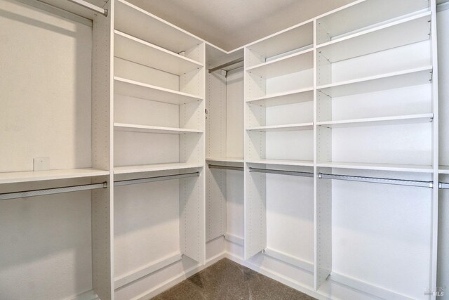 walk in closet featuring dark colored carpet