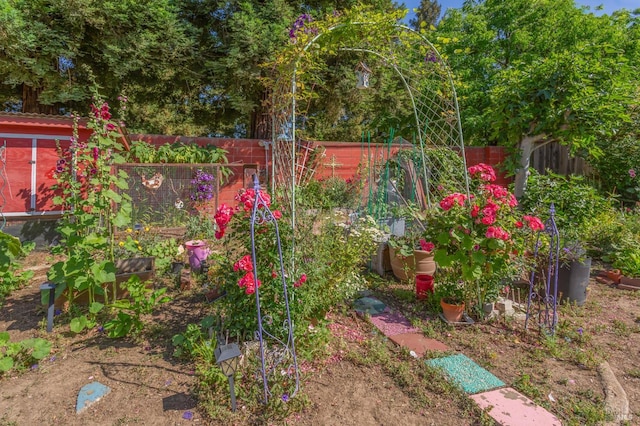 1812 Utah St, Fairfield, CA 94533 - fenced backyard with a vegetable garden