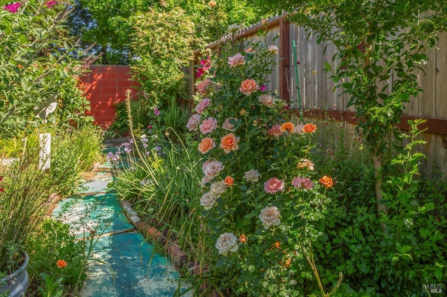 1812 Utah St, Fairfield, CA 94533 - view of yard