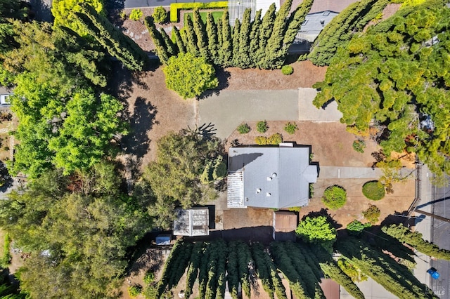 bird's eye view