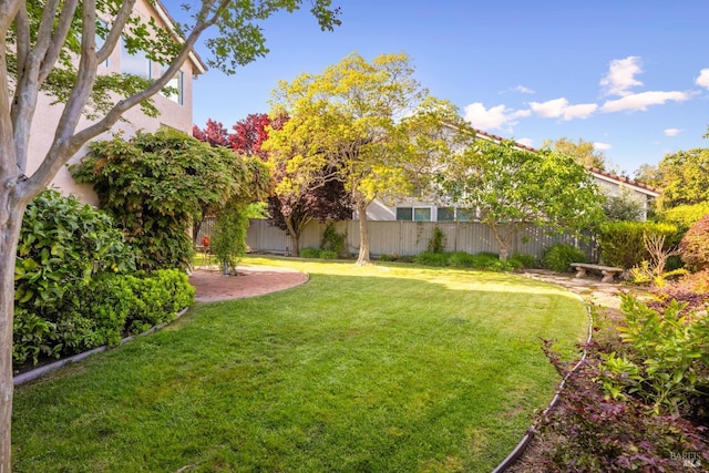 view of yard featuring a fenced backyard