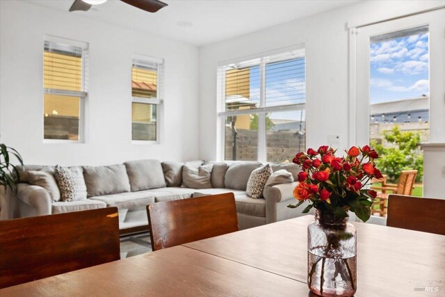 living area with ceiling fan