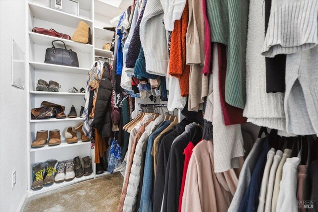 walk in closet featuring carpet floors