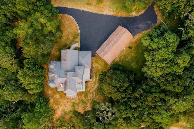 aerial view
