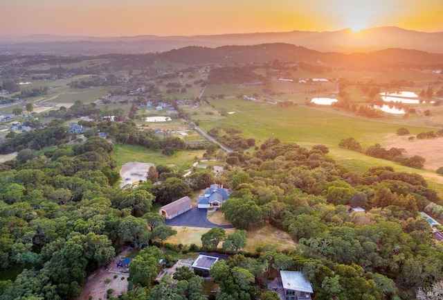 drone / aerial view