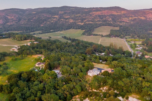 aerial view featuring a mountain view and a rural view