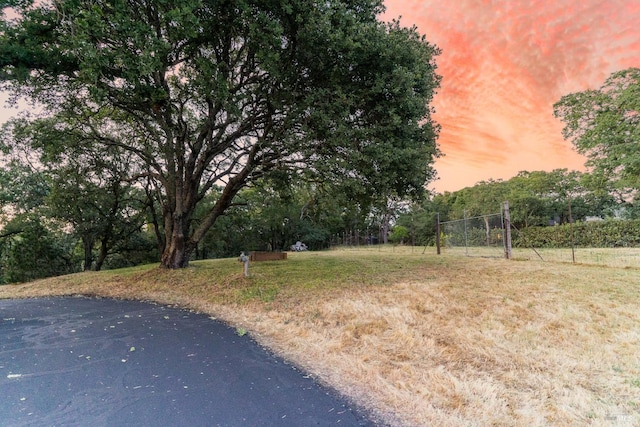 view of yard at dusk