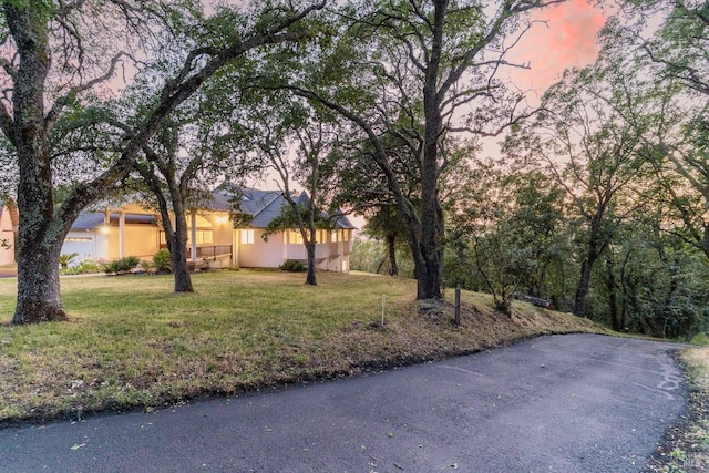 view of front of house featuring a front lawn and stucco siding