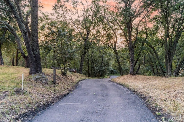 view of street featuring a forest view