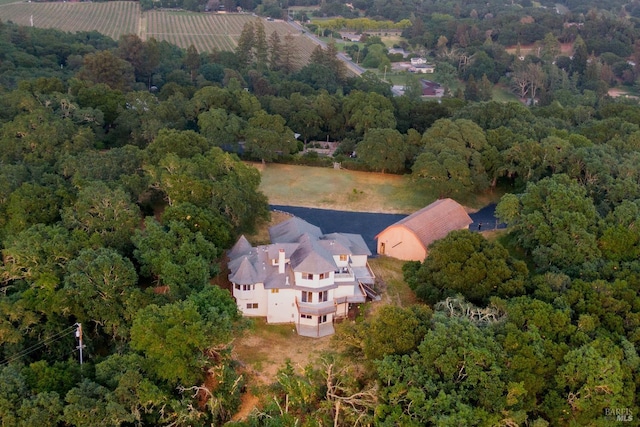 bird's eye view with a forest view
