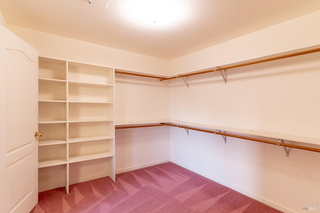 spacious closet featuring carpet floors