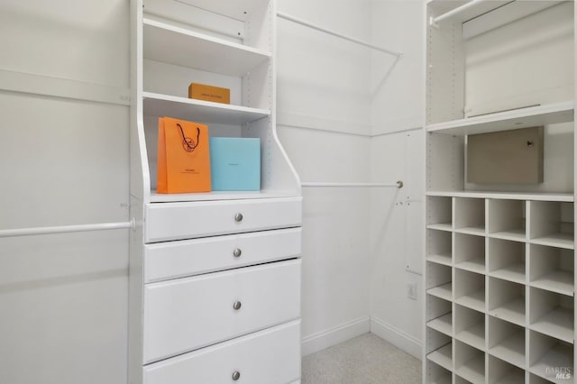 view of walk in closet